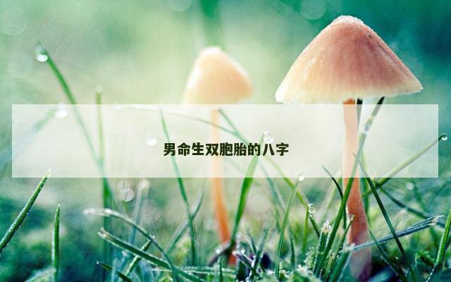 男命生双胞胎的八字