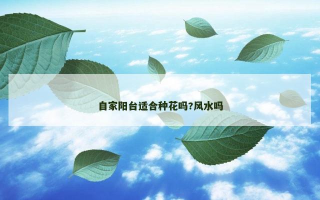 自家阳台适合种花吗?风水吗