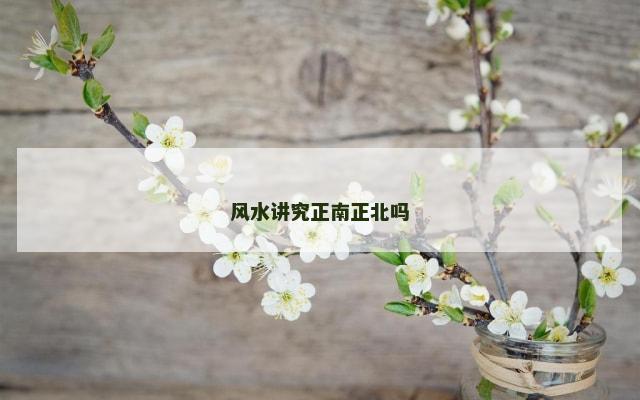 风水讲究正南正北吗