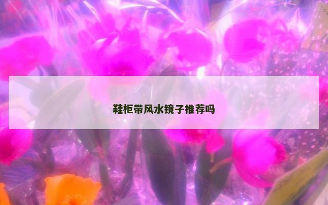 鞋柜带风水镜子推荐吗