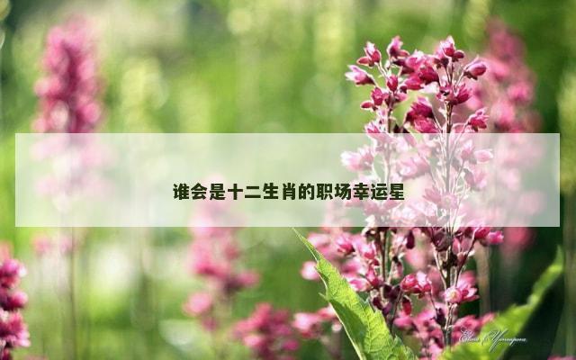 谁会是十二生肖的职场幸运星