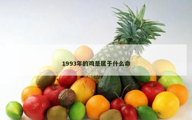 1993年的鸡是属于什么命