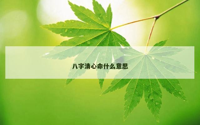 八字清心命什么意思