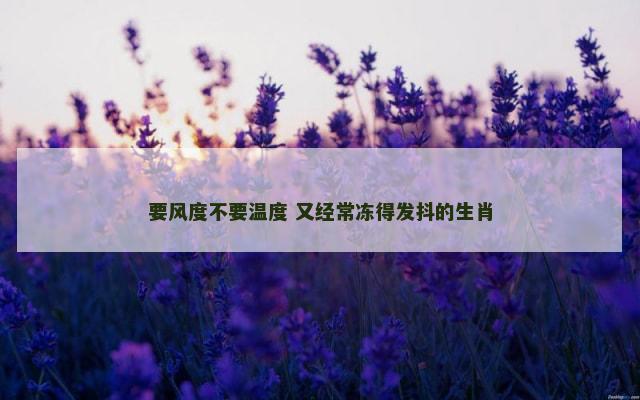要风度不要温度 又经常冻得发抖的生肖