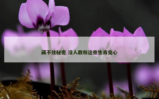 藏不住秘密 没人敢和这些生肖交心