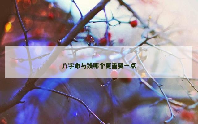 八字命与钱哪个更重要一点