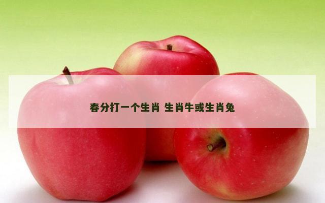 春分打一个生肖 生肖牛或生肖兔