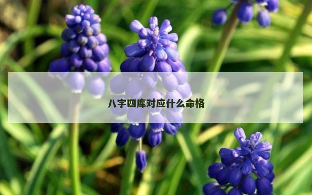 八字四库对应什么命格