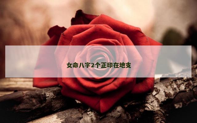 女命八字2个正印在地支