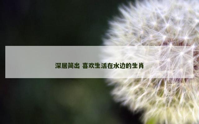 深居简出 喜欢生活在水边的生肖