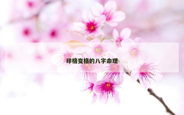 印格变格的八字命理