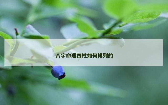 八字命理四柱如何排列的