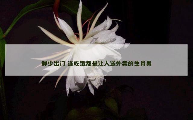 鲜少出门 连吃饭都是让人送外卖的生肖男