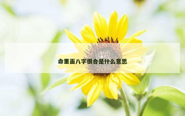命里面八字很合是什么意思