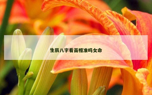 生辰八字看面相准吗女命