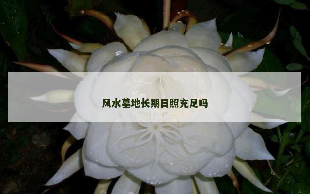 风水墓地长期日照充足吗