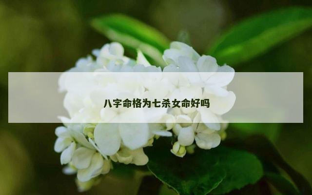 八字命格为七杀女命好吗
