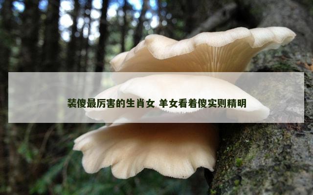 装傻最厉害的生肖女 羊女看着傻实则精明