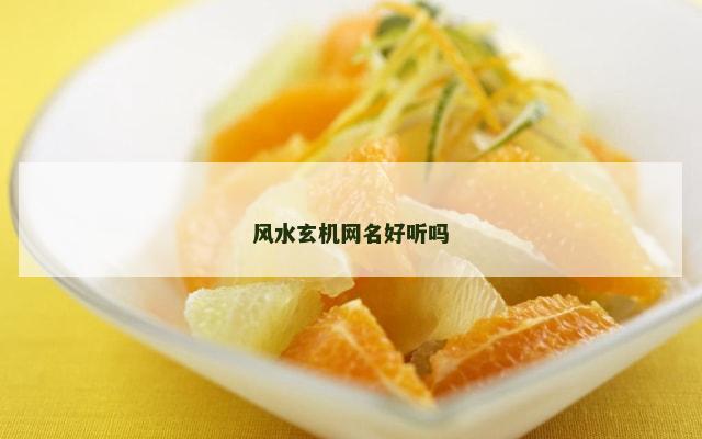 风水玄机网名好听吗