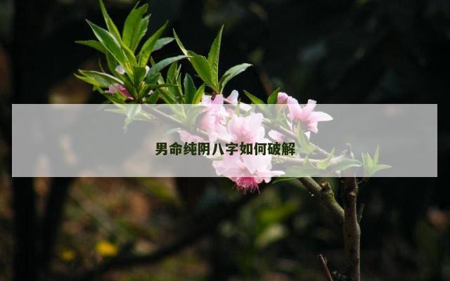 男命纯阴八字如何破解