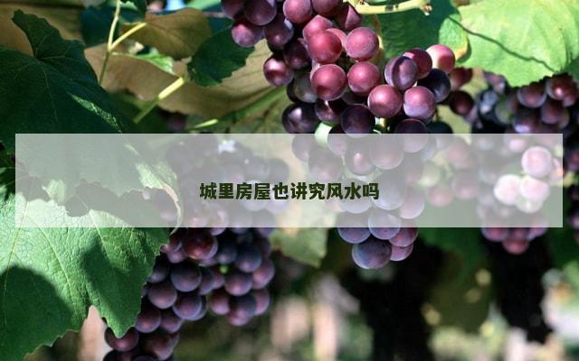 城里房屋也讲究风水吗