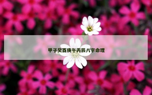 甲子癸酉庚午丙辰八字命理