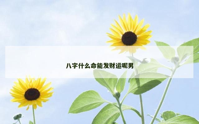八字什么命能发财运呢男