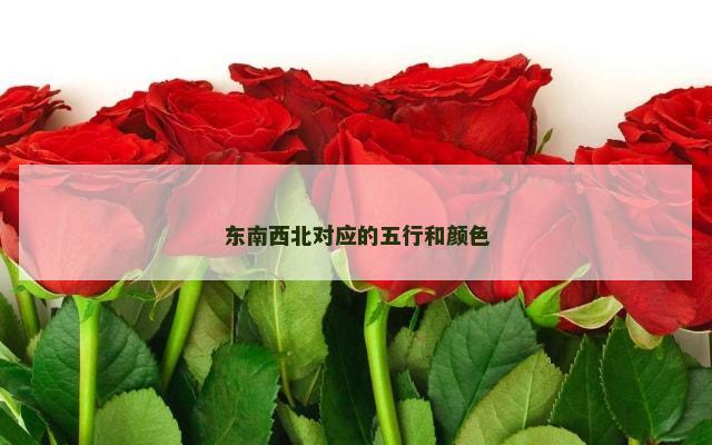 东南西北对应的五行和颜色