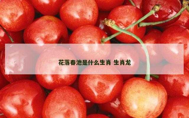 花落春池是什么生肖 生肖龙
