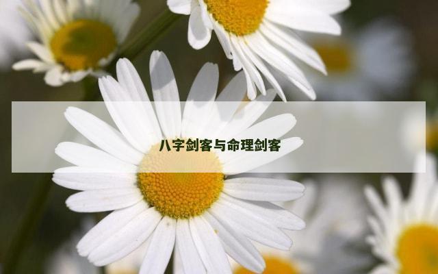 八字剑客与命理剑客