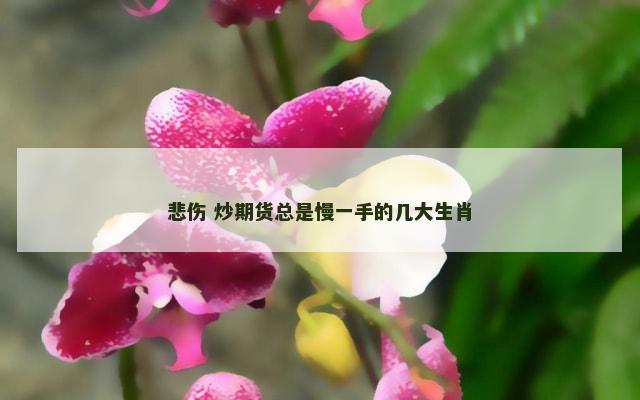 悲伤 炒期货总是慢一手的几大生肖