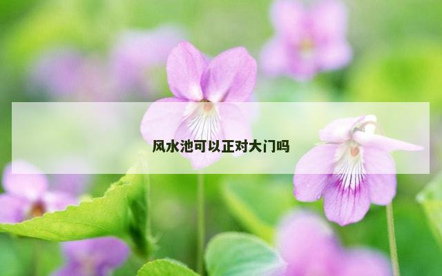 风水池可以正对大门吗