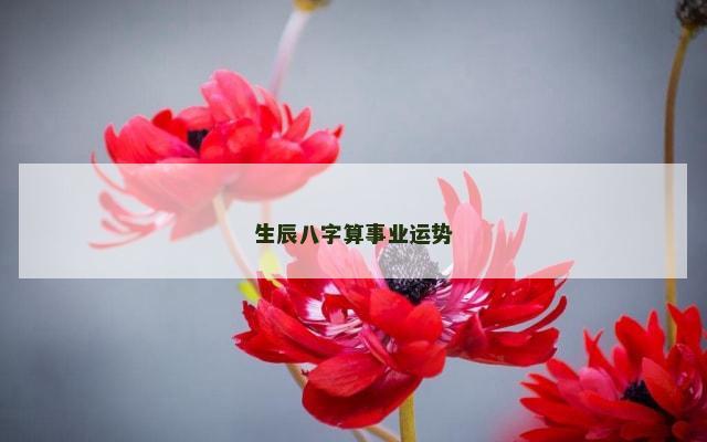 生辰八字算事业运势