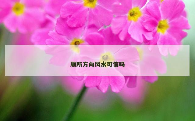 厕所方向风水可信吗