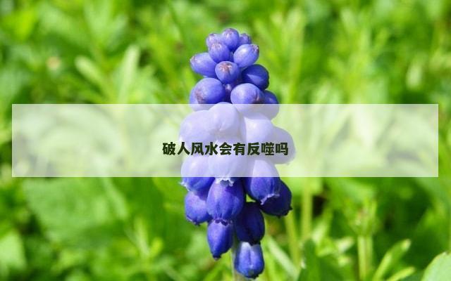 破人风水会有反噬吗