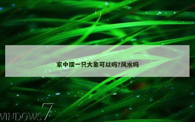 家中摆一只大象可以吗?风水吗