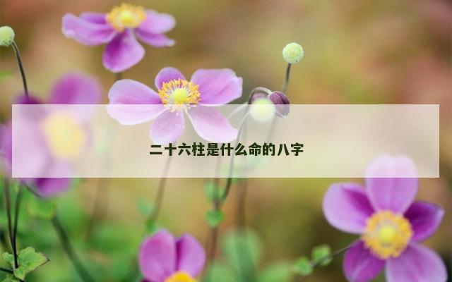 二十六柱是什么命的八字