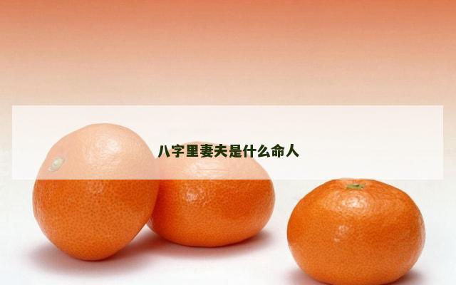 八字里妻夫是什么命人