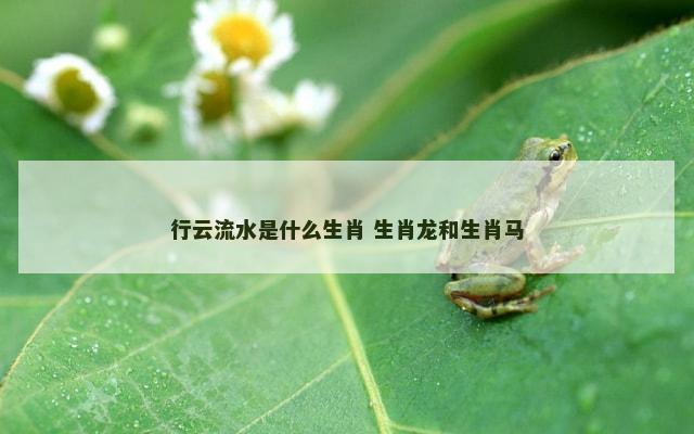 行云流水是什么生肖 生肖龙和生肖马