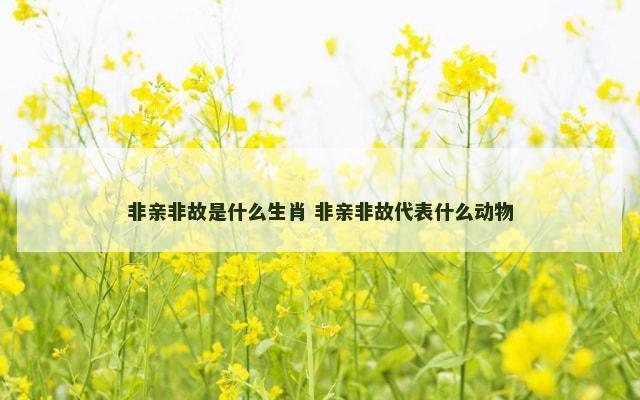 非亲非故是什么生肖 非亲非故代表什么动物