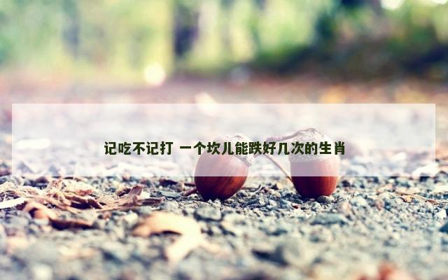 记吃不记打 一个坎儿能跌好几次的生肖