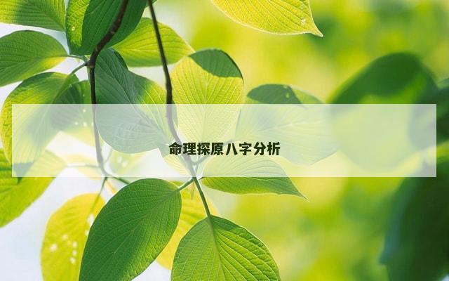 命理探原八字分析