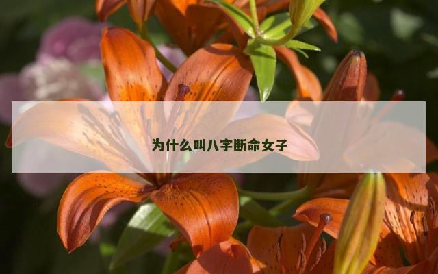 为什么叫八字断命女子