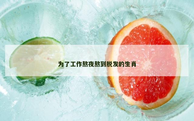 为了工作熬夜熬到脱发的生肖