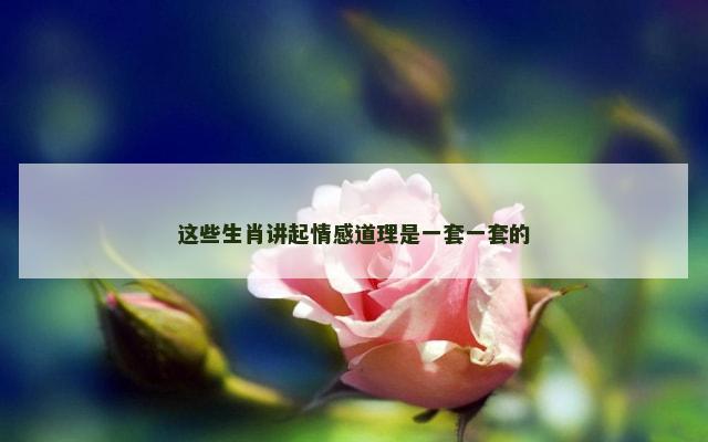 这些生肖讲起情感道理是一套一套的