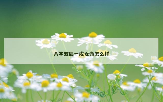 八字双辰一戌女命怎么样