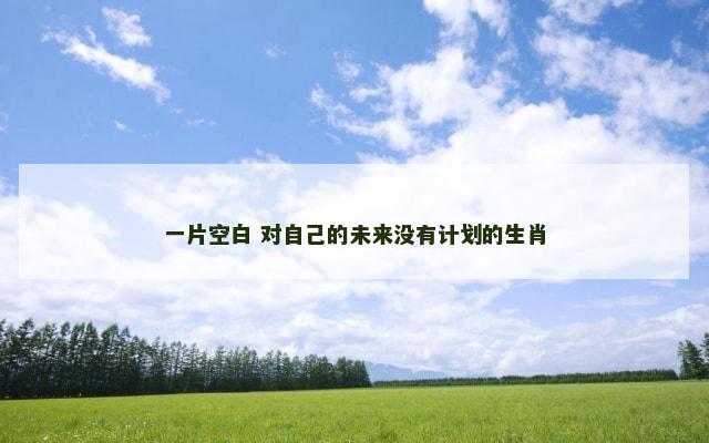 一片空白 对自己的未来没有计划的生肖