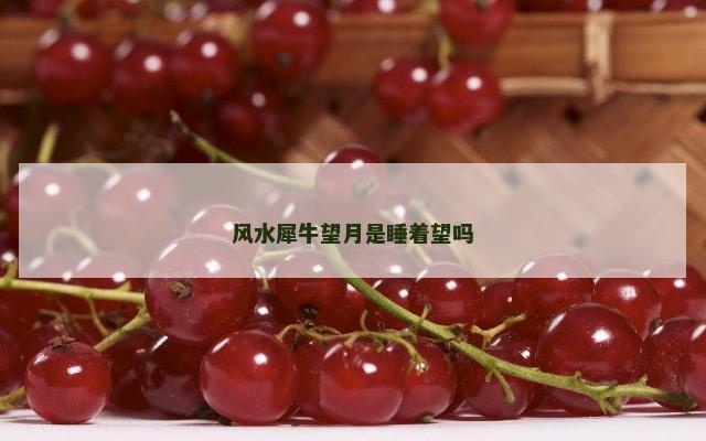 风水犀牛望月是睡着望吗