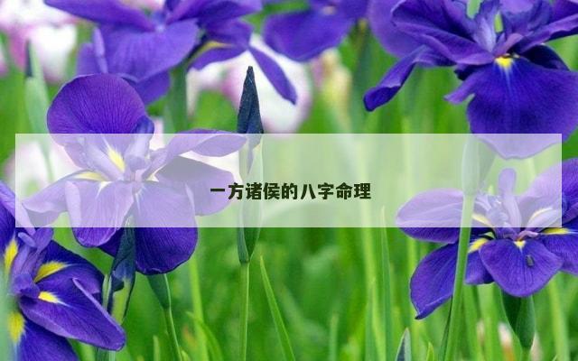 一方诸侯的八字命理