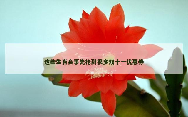 这些生肖会事先抢到很多双十一优惠券